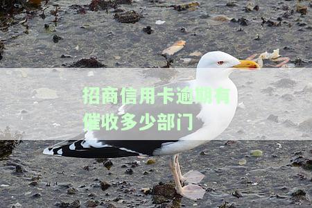 招商信用卡逾期有催收多少部门-招商信用卡逾期有催收多少部门管