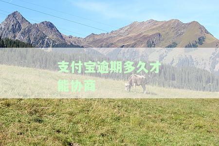 支付宝逾期多久才能协商还本金？