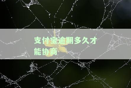 支付宝逾期多久协商还款最好，如何进行有效的支付宝逾期协商还款？