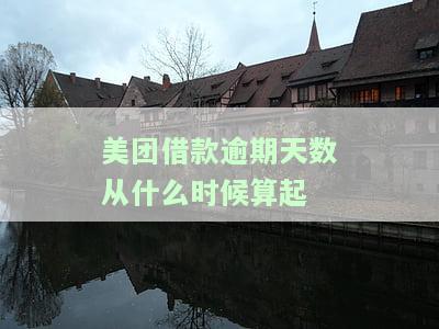 美团借钱逾期一次大约多长时间可以继续借款，美团借钱逾期后多久可以再次申请？影响因素解析