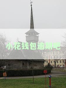 小花钱包逾期2021年会继续暴力催收吗？逾期一年仍被催收，欠款人因催收抑不敢出门