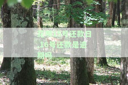 花呗15号还款日，16号还款算逾期吗？原因解析与解决办法