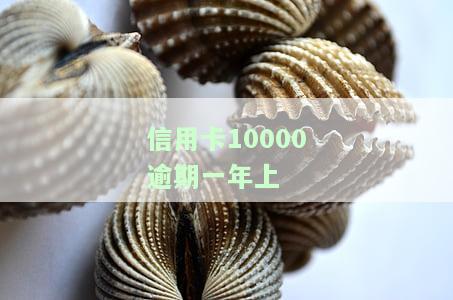 欠信用卡10000逾期一年，可能需要偿还多少？是否会坐牢？