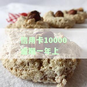 信用卡10000逾期一年上