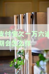 支付宝欠一万多逾期会坐牢吗？解决办法及后果解析