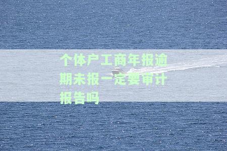 个体户工商年报未按时申报会有何后果？忘记申报怎么办？
