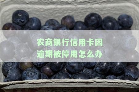农商银行信用卡因逾期被停用怎么办呢，信用卡逾期导致农商银行停用，如何解决？