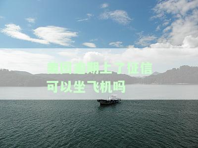 美团逾期上了征信可以坐飞机吗