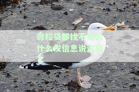 微粒贷都找不到为什么发信息说逾期了