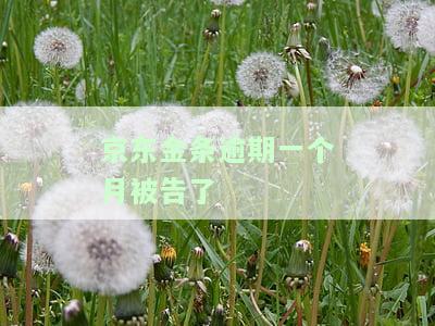 京东金条逾期一个月被告了会面临什么后果？包括可能上失信名单、无法再借款等。