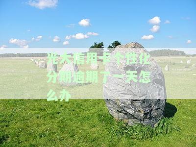 光大个性化分期还款协议，定制还款计划：光大个性化分期还款协议详解