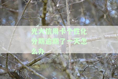 光大个性化分期还收利息：先还20%，最长多久？需提供哪些证明？是否需面签？