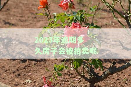 逾期多久法院会拍卖房子，逾期多久会导致房子被法院拍卖？
