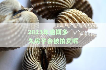 2023年逾期多久房子会被拍卖呢-2023年逾期多久房子会被拍卖呢视频