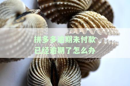 拼多多逾期未付款已逾期，如何办理退款、还款及处理？逾期未发货的处罚规则是怎样的？逾期多久会只发三元？