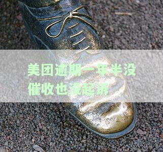 美团逾期1个月现在没有催收的打电话了是什么情况，美团逾期1个月未被催收，现在却接到电话：原因何在？