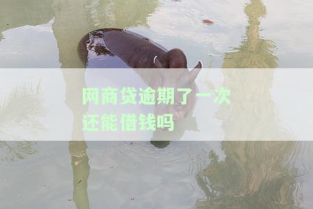 网商贷逾期一次会影响房贷吗？了解其可能带来的后果与解决方案