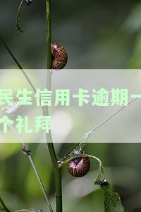 民生逾期一个月还能还最低吗？逾期一个月会封卡吗？全部还上后会影响房贷吗？逾期一年可以分期吗？