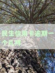民生信用卡逾期一个礼拜-民生信用卡 逾期一天