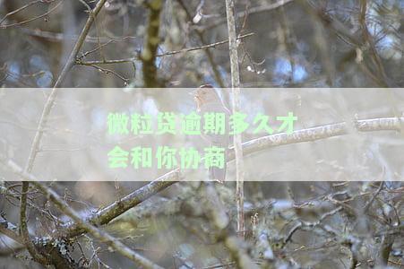 微粒贷逾期多久会让一次还清，逾期多久会导致微粒贷要求一次性还清？