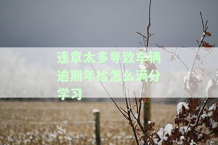 违章太多导致车辆逾期年检怎么满分学-车辆违章多了不处理会有什么后果