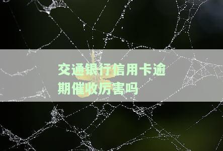 交通银行信用卡021催款：电话、短信、号码不可忽视，今天必须还款？