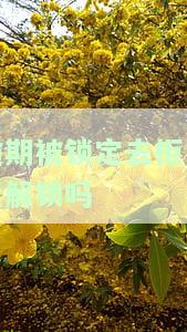 逾期被锁定去柜台能解锁吗安全吗，逾期未还导致账户被锁，如何在柜台安全解锁？