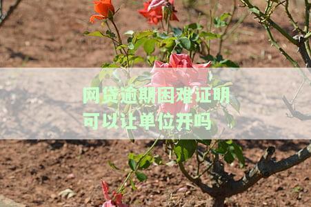 网贷逾期困难证明可以让单位开吗-网贷逾期困难证明可以让单位开吗合法吗