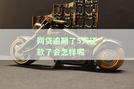 网贷逾期5天会怎么样，网贷逾期5天的后果，你必须知道！