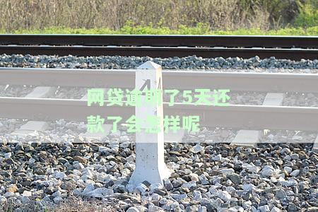 网贷逾期五天严重吗？可能的影响与后果包括：信用记录受损、高额罚息、被起诉等。该如何处理逾期问题？