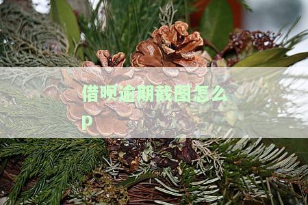 借呗催款截图，急需解决！求助：借呗催款截图曝光，如何应对？