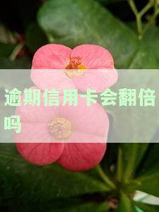 逾期后信用卡还能用吗，信用卡逾期后是否还能继续使用？答案在这里！