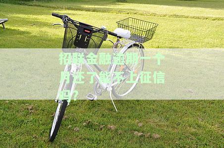招联金融逾期一个月还了能否避免上征信？解决方法与后果解析