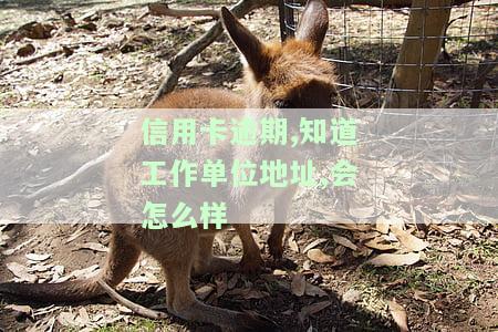 信用卡逾期,知道工作单位地址,会怎么样，信用卡逾期，泄露工作单位地址可能会带来哪些后果？