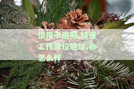 信用卡逾期，知道工作单位地址？如何处理后果？
