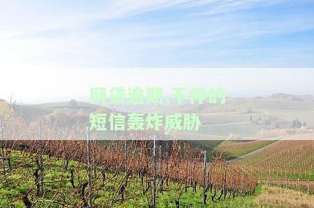 网贷逾期,不停的短信轰炸威胁