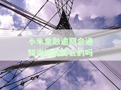 小米金融逾期9个月说上门调查是真的吗，小米金融逾期9个月，上门调查是否真实？