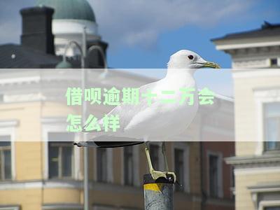 借呗欠款12万逾期1年，逾期一年，借呗欠款达12万元，你该怎么做？