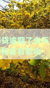 网贷逾期影响大吗？会对征信造成影响吗？
