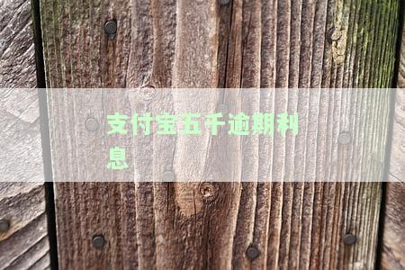 支付宝5000逾期一个月利息加罚息是多少？逾期一年、一天又如何计算？