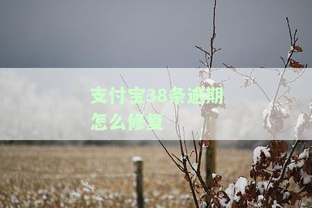 支付宝逾期超过30天怎么修复，解决支付宝逾期问题：超过30天的修复方法