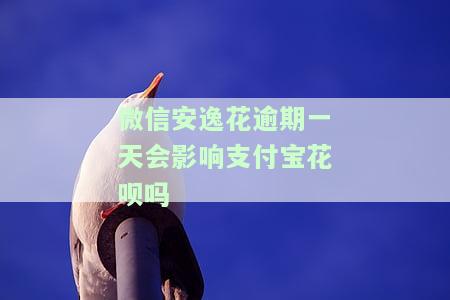 安逸花不小心逾期了一天，会产生逾期费用吗？对征信有影响吗？逾期一天后如何处理？什么时候才能再借款？
