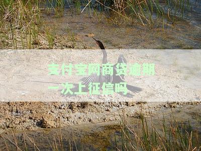 支付宝网商贷逾期一次上征信吗