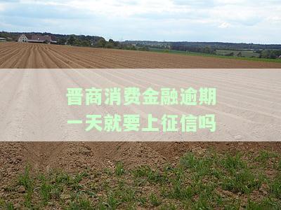 商消费金融逾期5天还款后上征信吗，逾期5天还款，商消费金融会上征信吗？