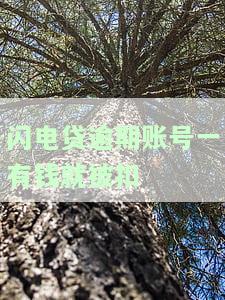 闪电贷逾期账号一有钱就扣款，如何避免？逾期后全额还款还是只还部分？