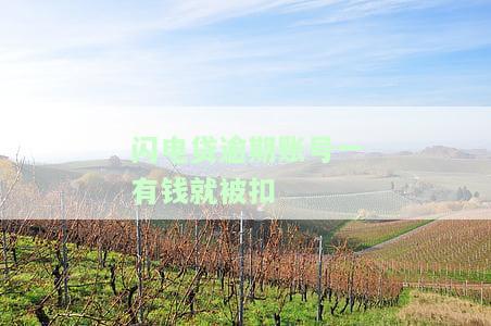 闪电贷逾期后自动扣工资，如何协商还款并防止再次扣款？