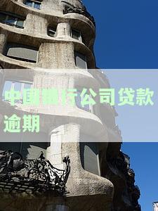 中国银行公司贷款逾期怎么处理，如何处理中国银行公司贷款逾期？