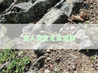 宜人贷会坚持下去吗，宜人贷：困境中的坚守与决心