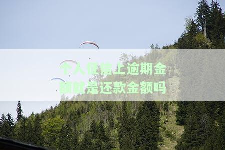 个人征信逾期金额含义：实际需还款额与影响因素解析
