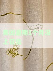 美团逾期1个月没上征信怎么办，如何处理美团贷款逾期一个月未上征信的问题？